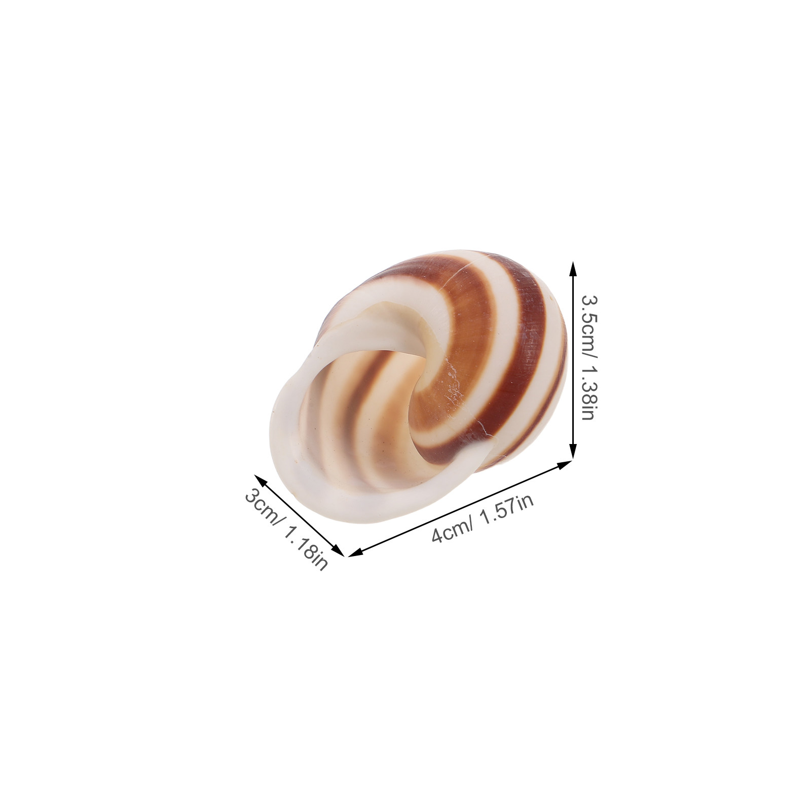 4Pcs Natural Spiral Snail Shel - Home Cooking In French review and price